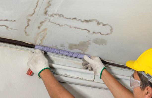 Reliable Basement Water Removal contractor in Cliffside Park, NJ by Water Damage Irwin
